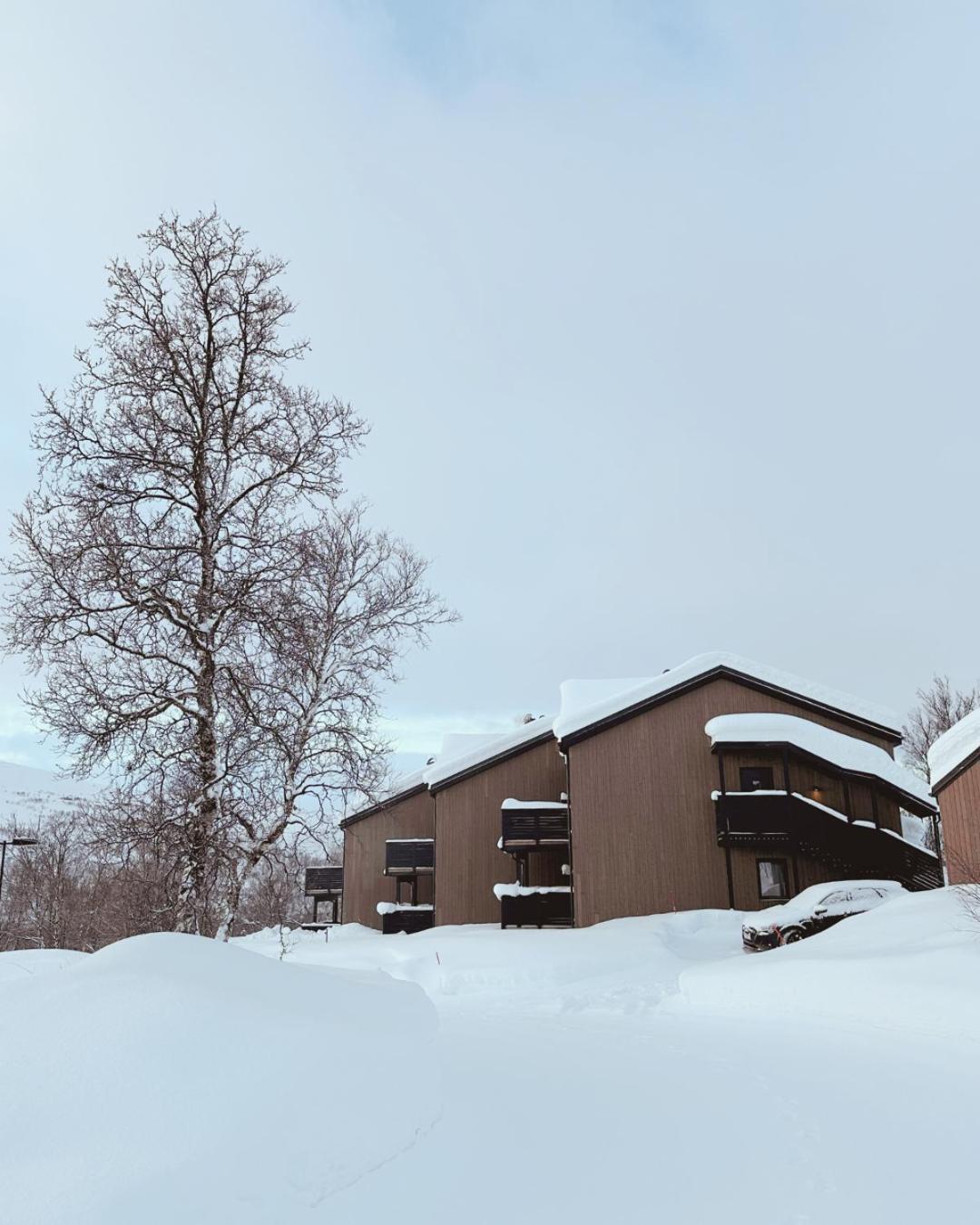 Skaidi Luxury Lodge - Heart Of The Arctic Hammerfest Bagian luar foto